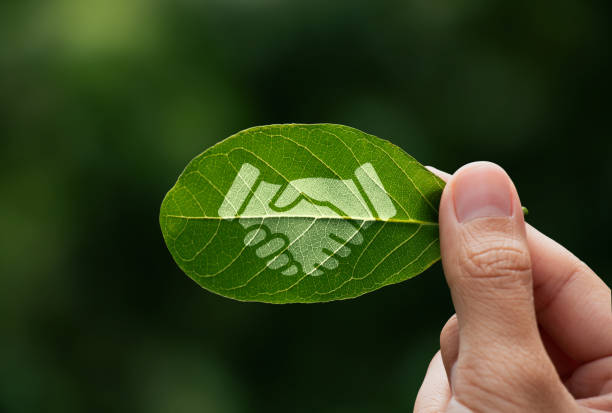 Hand of human is holding painted green leaf with handshake icon, environment social and governance or ESG Hand of human is holding painted green leaf with handshake icon, environment social and governance or ESG, Cooperation of organization for prevent climate change sustainable earth. environmental damage stock pictures, royalty-free photos & images