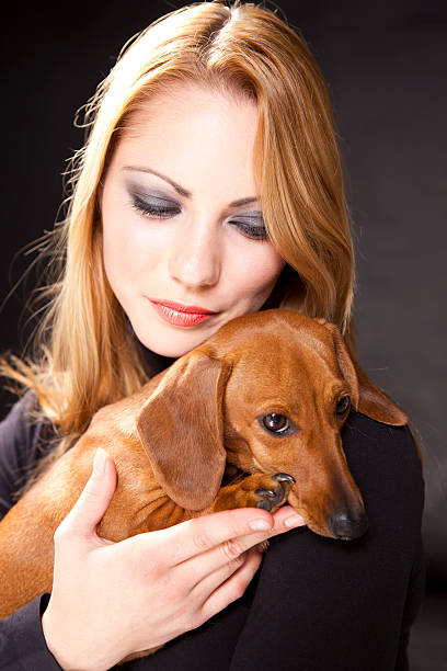 retrato de linda perro tejonero y mujer bella - dachshund dog reliability animal fotografías e imágenes de stock