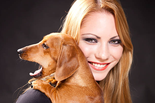 bostezar monada perro tejonero y mujer bella - dachshund dog reliability animal fotografías e imágenes de stock