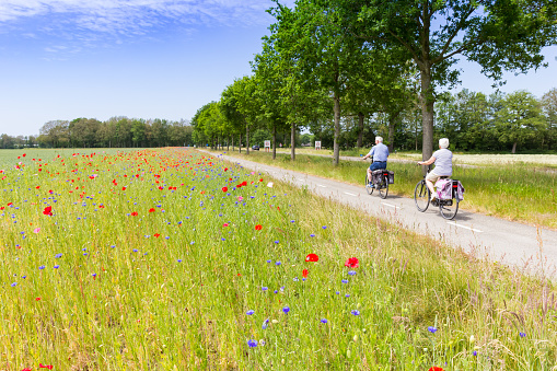 Senior couple riding bicycle along colorful wildflowers in Drenthe, Netherlands