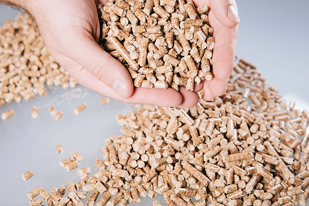 istock Palms Full Of Pallets - Green Energy 167116087