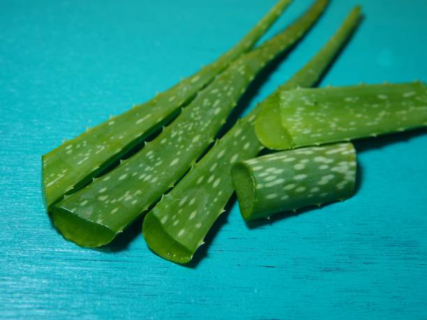 istock sliced ​​aloe vera plant on blue base 1671165514
