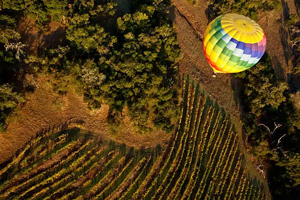 Hot Air balloons sailing over Napa Valley in California on a beautiful misty morning.