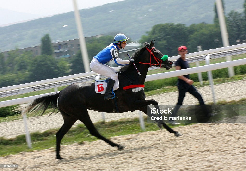 Der Gewinner. - Lizenzfrei Pferderennen Stock-Foto