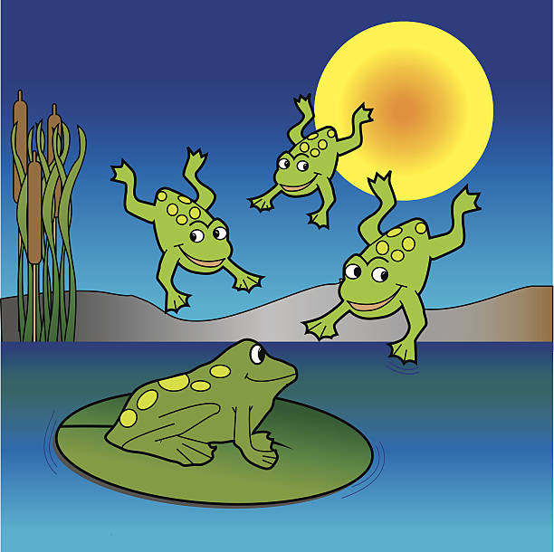 froggie 천문학자 - frog jumping pond water lily stock illustrations