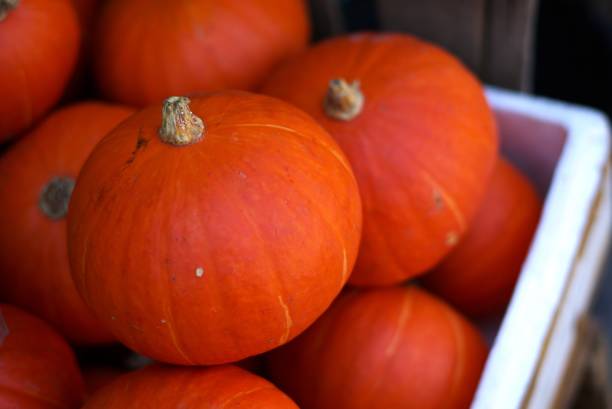 istock Pumpkin in the market 1671236163