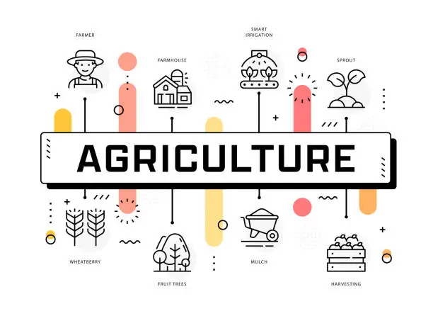 Vector illustration of Agriculture Infographic Template