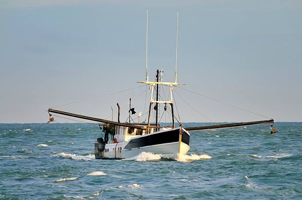 istock Ocean City Trawler Coming In 167129457