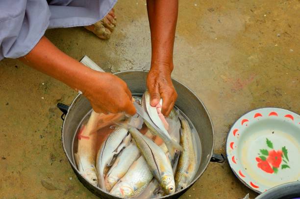 istock Colombian Amerindian Prepares Meal 167129471