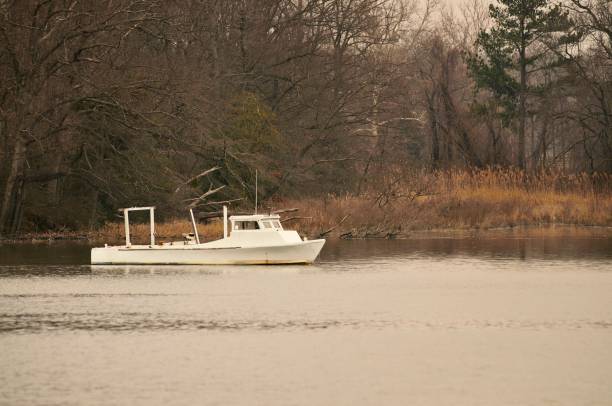 Skipjack Ride 70+ Maryland Easton Stock Photos, Pictures & Royalty-Free Images - iStock