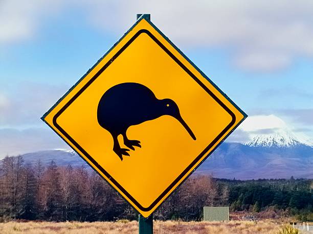 istock Kiwi Crossing Sign 167129865