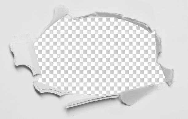 istock pieces of torn paper texture 1671300087