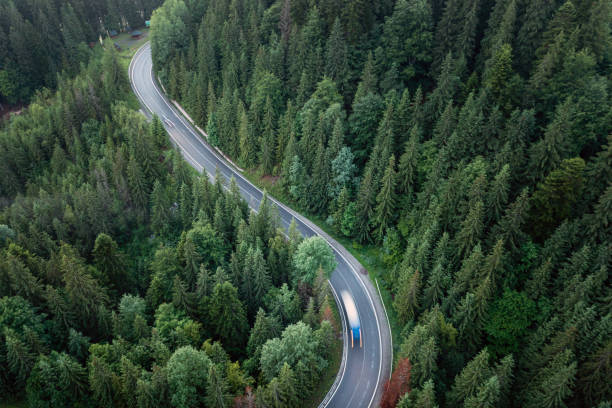 istock Forest road top view, cars in motion 1671301801