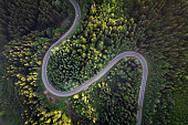 Road top view, summer green forest