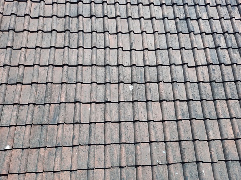 Moss on roof shingles and an extension ladder is against a dirty gutter, a roof in need of maintenance. Narrow focus