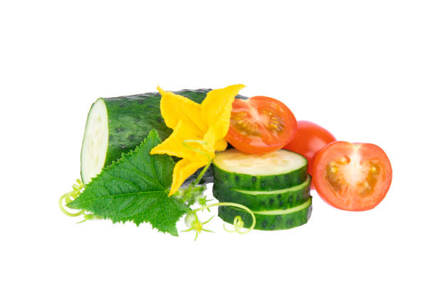 istock Cucumber and tomato vegetables with leafs and flowers 1671352558