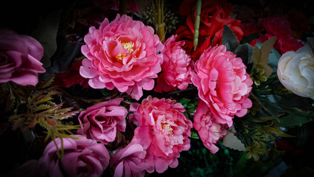 istock Many pink roses with black edges 1671371382