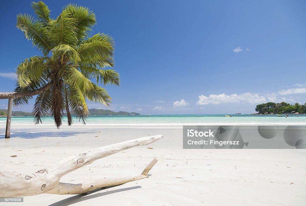 Paradise Beach - Lizenzfrei Fotografie Stock-Foto