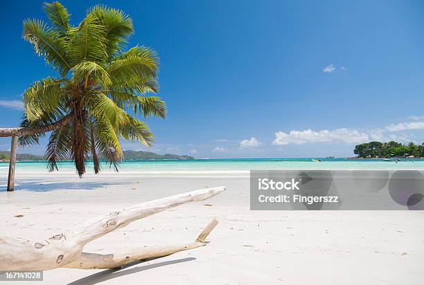 Foto de Paradise Beach e mais fotos de stock de Areia - Areia, Azul Turquesa, Céu - Fenômeno natural