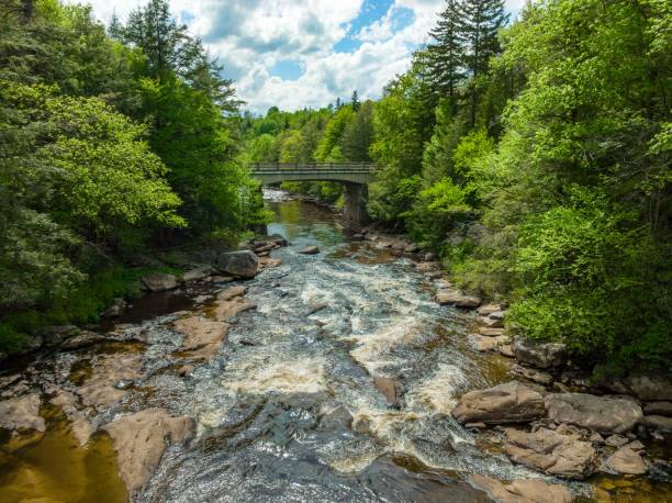 istock the trees are lush with green leaves and the river flows under a bridge 1671434614