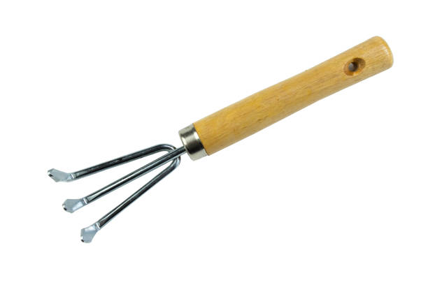 small garden rake isolated on a white background. Tool. Top view