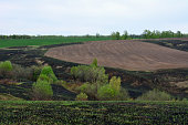 burnt ground with plowed agricultural field on the hill and cloudy sky copy space