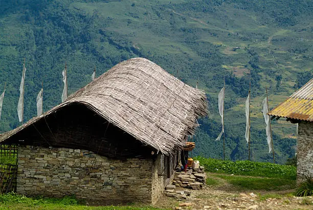 Bhutan, homes with traditional bomboo roofing in mounatin village Wamrong