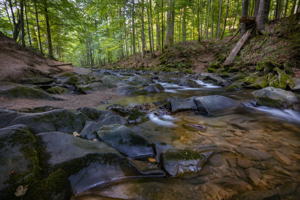 Szepit waterfall, Hylaty torrent, Bieszczady Mountains, Bieszczady National Park, the wildest region in the Poland, unique wooded mountain landscapes, Poland