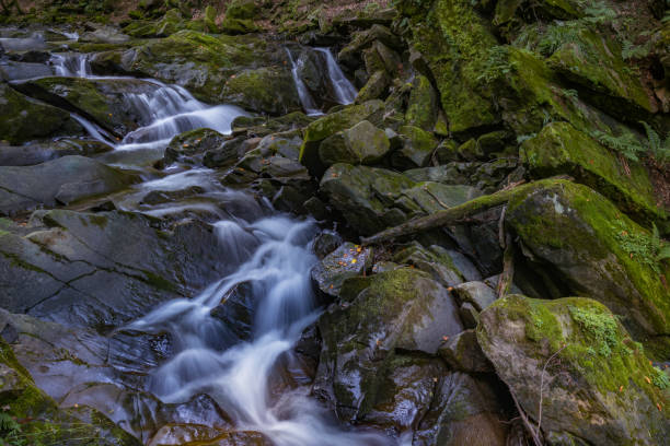 istock Szepit waterfall, Bieszczady Mountains, Bieszczady National Park, Poland 1671516366