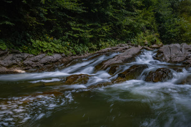 istock Sine Wiry Nature Reserve, Bieszczady Mountains, Poland, 1671520341