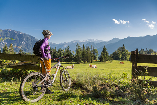 A female mountainbiker is enjoying the idyllic view of the glaciated Dachstein Mountains (2995 mt., 9826 ft.) behind a scenic pasture with resting cattles. The Salzkammergut is a resort area located in Austria. It stretches from City of Salzburg to the Dachstein mountain range, spanning the federal states of Upper Austria (80%), Salzburg (7%), and Styria (13%). The name Salzkammergut means \