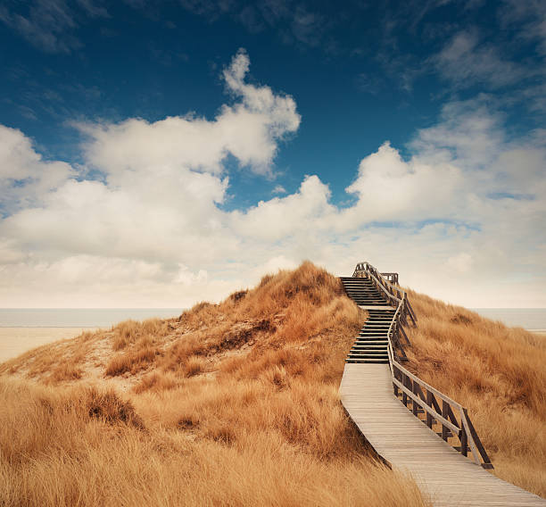 strada tra le dune - amrum summer spring island foto e immagini stock