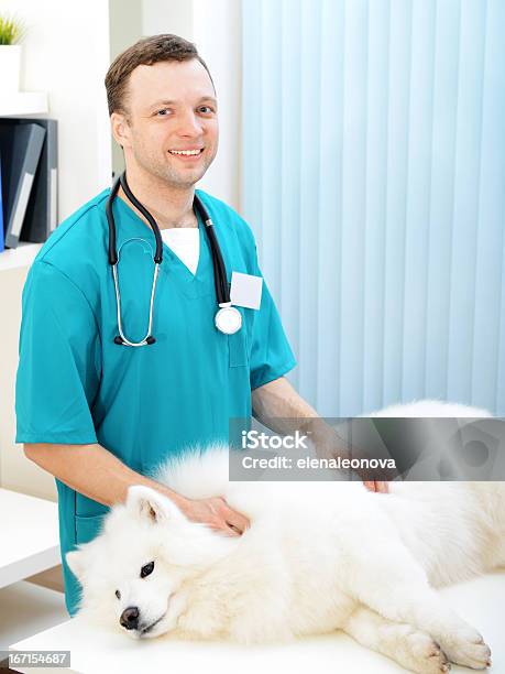 Tierarzt Stockfoto und mehr Bilder von Berufliche Beschäftigung - Berufliche Beschäftigung, Das Leben zu Hause, Domestizierte Tiere