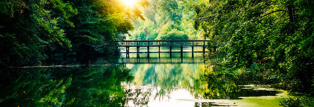 finding 젠 자연 - lake tranquil scene landscape zen like 뉴스 사진 이미지