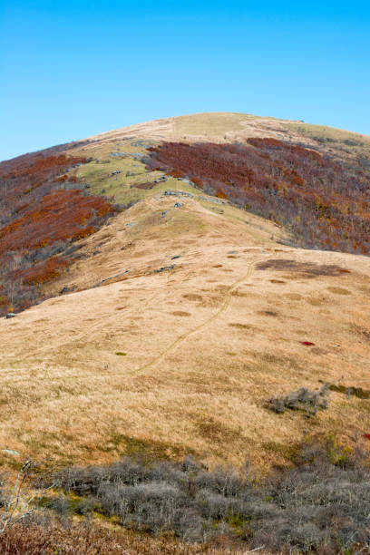 The Appalachian Trail on Hump Mountain (5587ft / 1703m) in the Roan Highlands of North Carolina/Tennessee.