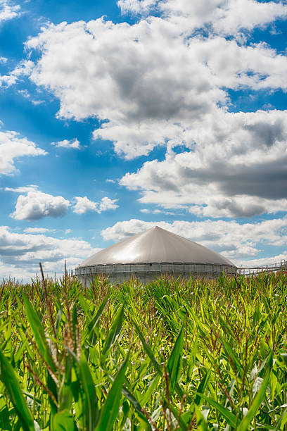 l'énergie de biomasse à un fonds de nuage energiewende biogaz - nachhaltig photos et images de collection