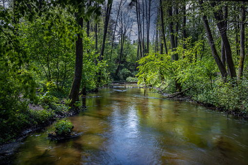 Beautiful stream in the Stara Planina mountain massif, Kovani Dol, in the south-eastern Serbia.