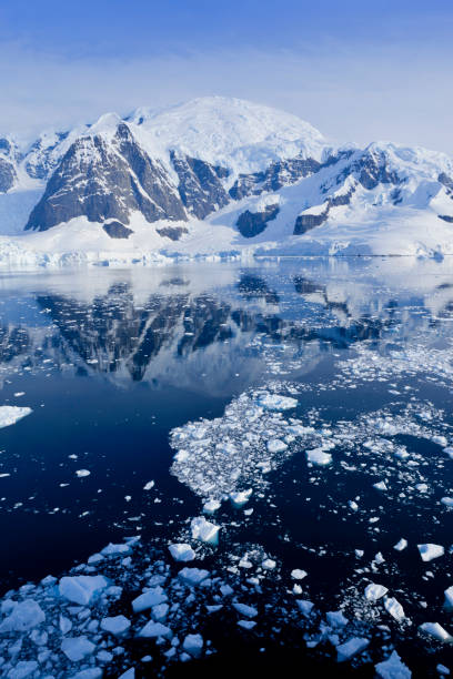 istock Antarctica Paradise Bay ice floating 167156943