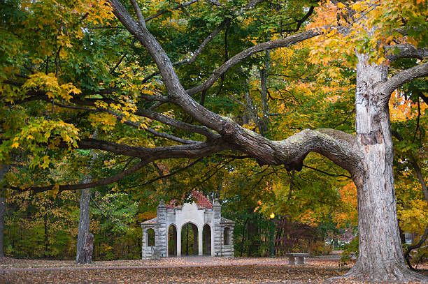 Autumn is showcased in all its splendor on the campus if Indiana University.  At the center of campus lies Dunn's Woods, with huge deciduous trees enveloping student pathways.