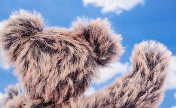 Cute Teddy bear waves Cuddly brown teddy bear waves to the cloudy sky. Photo made with high quality studio equipment. Focus on head. pink teddy bear stock pictures, royalty-free photos & images