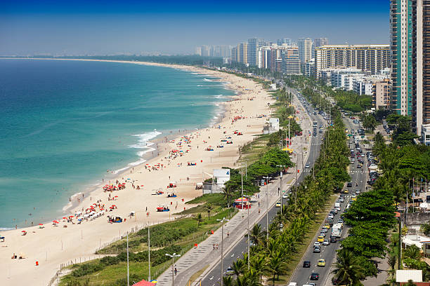 strand von barra da tijuca in rio de janeiro - tree large group of people sand sunbathing stock-fotos und bilder