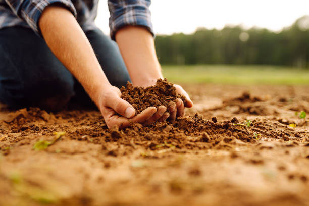 istock Farmer's hands holding soil, checking soil health before sowing. 1671578849