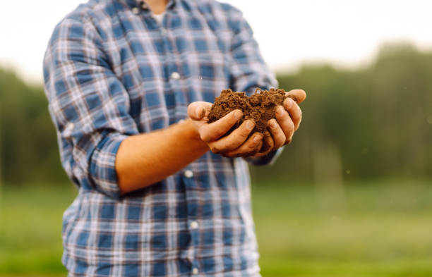 istock Farmer's hands holding soil, checking soil health before sowing. 1671579928