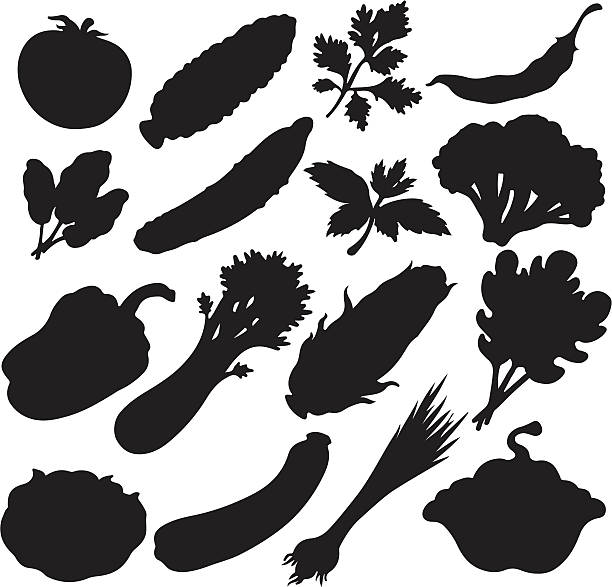 ilustraciones, imágenes clip art, dibujos animados e iconos de stock de verduras iconos conjunto de silueta negra - parsley vegetable leaf vegetable food