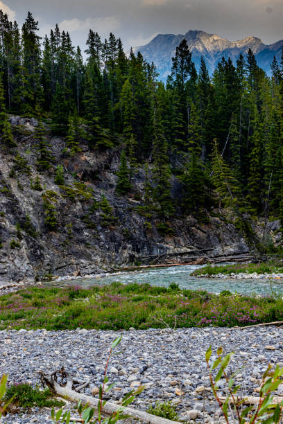 istock Heady Brewster Banff National Park Alberta Canada 1671679191