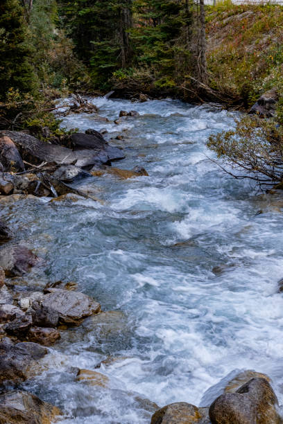 istock Lake Louise Banff National Park Alberta Caanda 1671679491