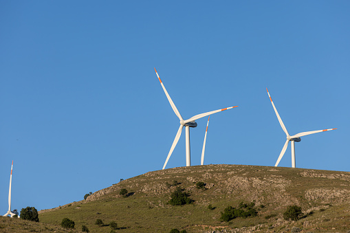 Wind turbines in green rolling landscape.