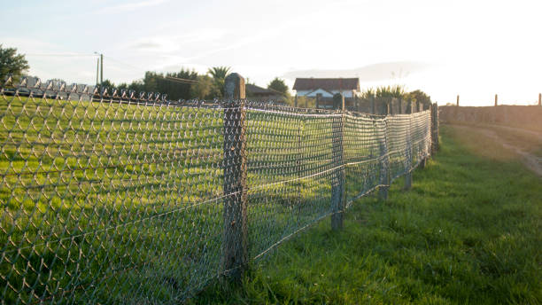 istock Rustic picket fence in rural field 1671688133