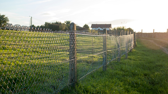 Rustic picket fence in rural field