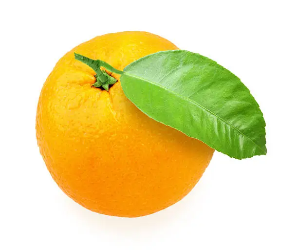 One orange-fruit with green leaf. Placed on white background. Close-up. Studio photography.